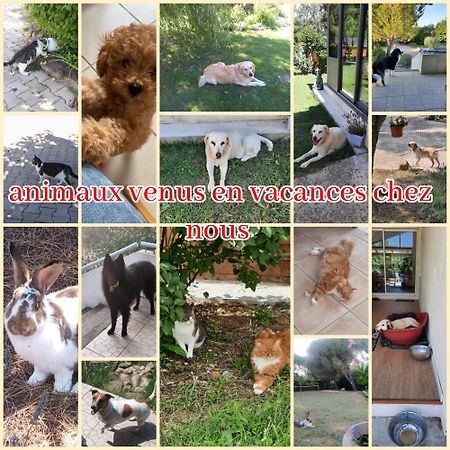 Gite Ma Vie La 3 Etoiles, Jacuzzi, Animaux Acceptes Saint-Julien-de-Cassagnas Dış mekan fotoğraf
